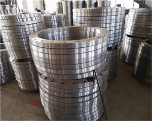 DN500鋼制法蘭/DN500鋼制法蘭